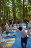 自然のパワーを、いっぱいもらおう！【ヨガでリフレッシュ in 池谷】