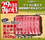 JA全農・毎月29日は肉の日