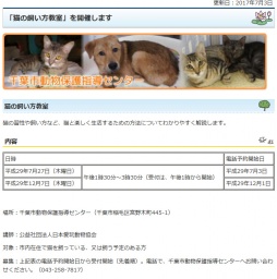 猫の飼い方教室