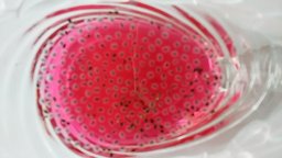 梅雨でも内面から爽やか♪手作りの紫蘇（シソ）ジュースでバジルシード・ドリンク・パーティを！