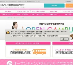 動物病院で行う身体検査