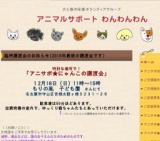 にゃんこの譲渡会