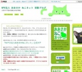 猫の里親会