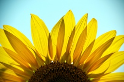 <永田町>1回完結！90分！　基礎ウォーキングと立ち居振る舞いレッスン