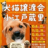 保護犬猫譲渡会