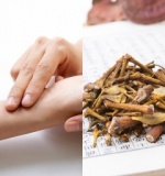 【美しく健康になる知恵】東洋医学が導く美のメソッド　～しっかり学ぶベーシック編～ （全3回）