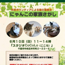 にゃんこの家族さがし