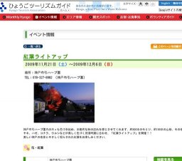 紅葉ライトアップ