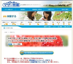 ブルーベリー摘み