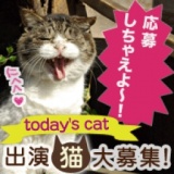 today's cat　全員掲載出演猫　