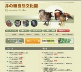 カイツブリのひな、続報