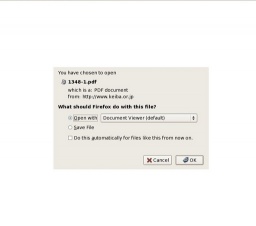 高知競馬場で、年末年始【高知市】