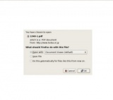 高知競馬場で、年末年始【高知市】