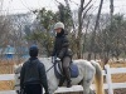 平日アウトドア 本格乗馬体験 社会人サークルFEAD