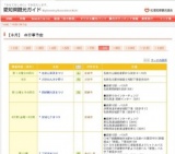 新城納涼花火大会