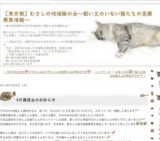 ［東京都］むさしの地域猫の会～９月譲渡会開催のお知らせ～
