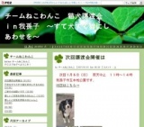 ねこわんこ譲渡会
