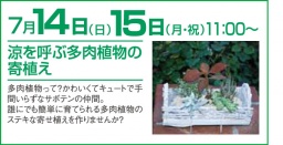 ★大好評イベント★ 多肉植物寄せ植え開催決定