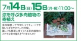 ★大好評イベント★　多肉植物寄せ植え開催決定