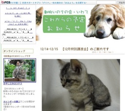 ふれあいワンにゃん譲渡会