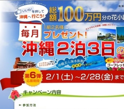 総額100万円の沖縄旅行