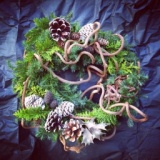 フラワーアレンジ教室《お花あそび クリスマスリース》