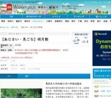 あじさい・見ごろ、明月院