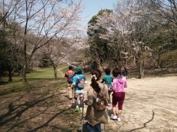 始めてみようノルディック・ウォーク 体験講習会