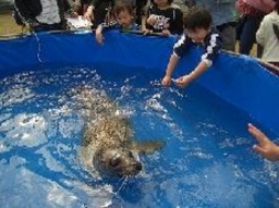 【６/１９（金）～７/１２（日）】めっちゃさわれる水辺の動物広場