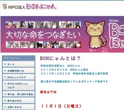 BONにゃん譲渡会