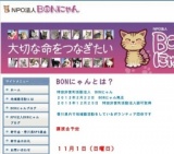 BONにゃん譲渡会
