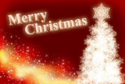 クリスマスパーティー2015 大人のためのクリスマス 2015年12月19日 - こくちーずプロ(告知'sプ...