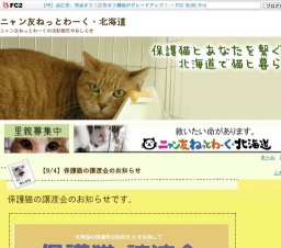 保護猫の譲渡会