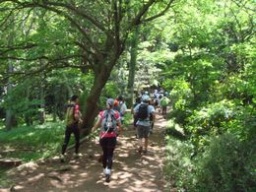 観光マラニック（秦野弘法山トレイルマラニック）