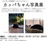 カッパちゃん写真展