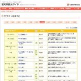 小牧平成夏まつり