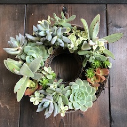 多肉植物の寄せ植えリースづくり | ハウスクエア横浜