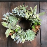 多肉植物の寄せ植えリースづくり | ハウスクエア横浜