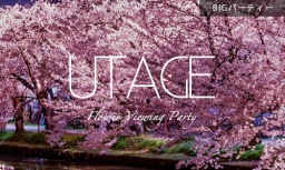 普通じゃ満足出来ない大人セレブなお花見パーティー｜UTAGE