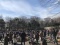 【新宿中央公園】フリーマーケット【都庁前】ジャンルもさまざま♪多くの人出で賑わう会場！