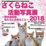 さくらねこ活動写真展