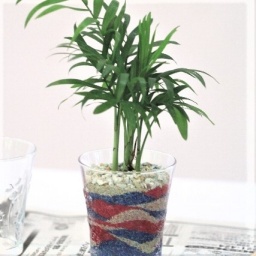 はなぶん　植物アレンジレッスン第16回（7/8）