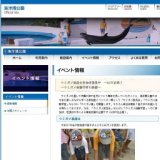 ウミガメ放流会・ウミガメ体験学習