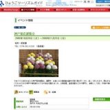 神戸菊花展覧会