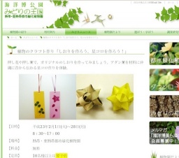 植物のクラフト作り「しおりを作ろう、星コロを作ろう！」