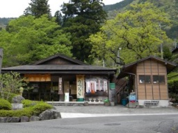 葵のゆかりを散歩しながら楽しむ婚活パーティー