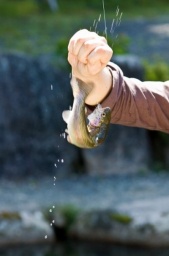 2011/05/21（土）気軽に海釣り！釣りガール集合！【大黒】生麦集合！/婚活スタイル