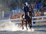 平日アウトドア　本格乗馬体験　社会人サークルFEAD