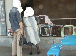 チームねこわんこ　猫犬譲渡会ｉｎ我孫子　