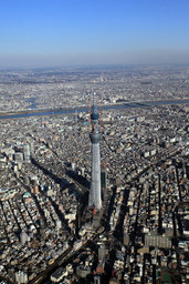 スカイスクラッパージャパン.comセミナー